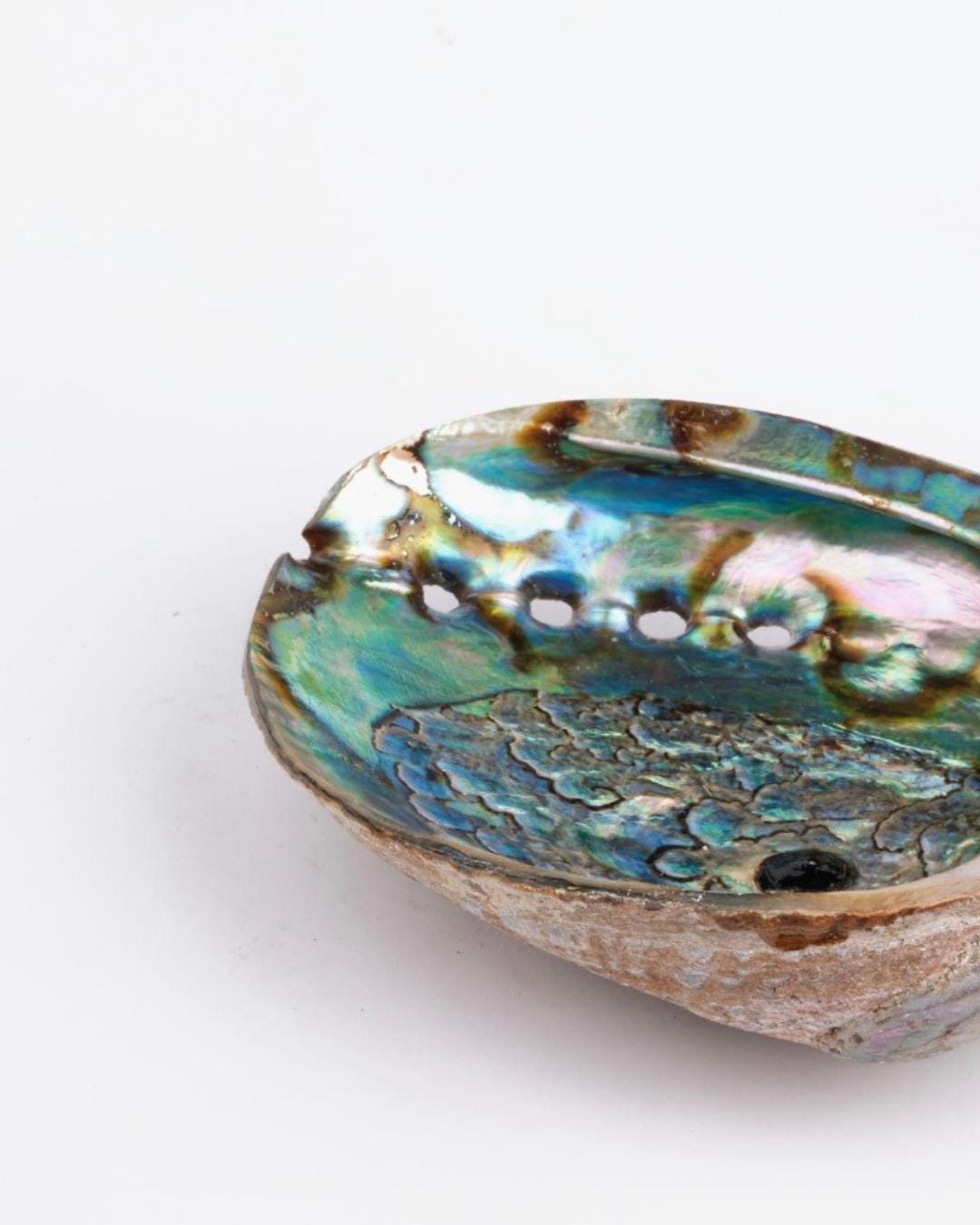 Abalone Shell Statement Earrings